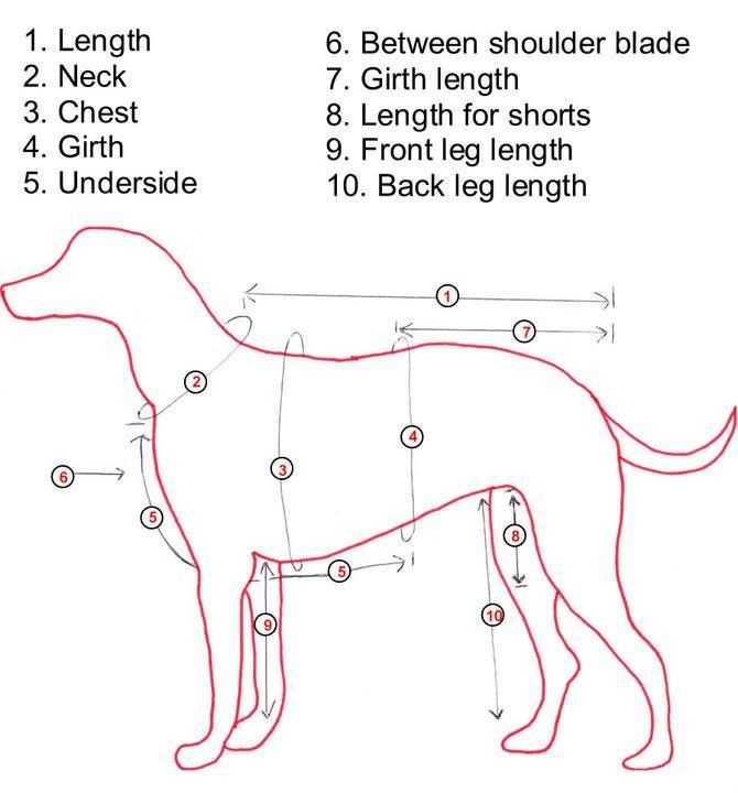 Measure pet