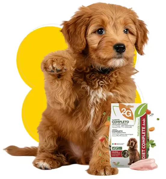 Food For Pet Creatures 