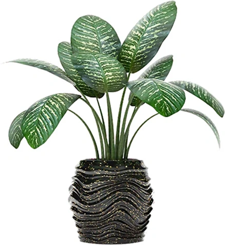 Plant