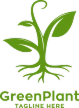 Nature Growth Plant